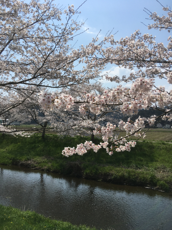 シンプルに！